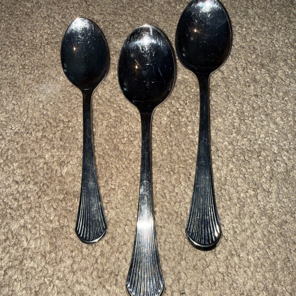 Carico Manet Stainless soup Spoons  3